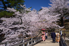 230401奈良公園11