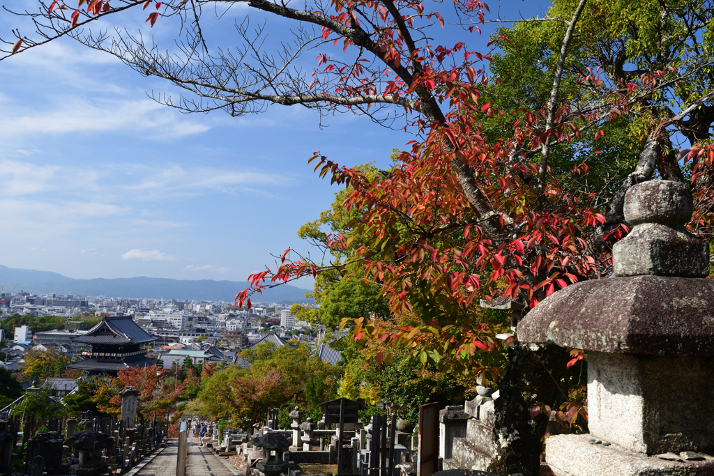 231109d金戒光明寺27