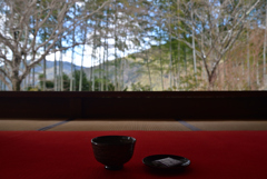 250210c大原宝泉院28