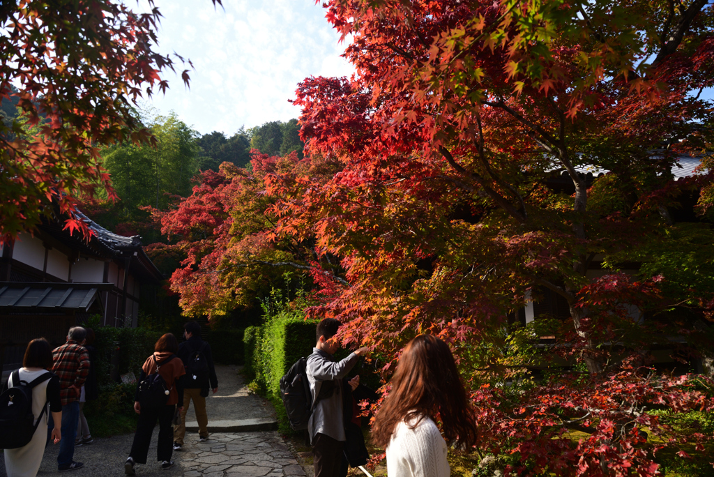 221111c常寂光寺13