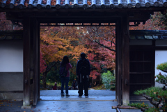 191129c南禅寺56