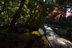 201205a法然院13
