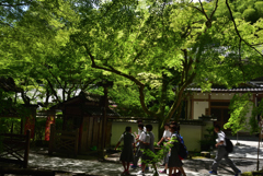 190617a石山寺05