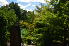 190726萬福寺37
