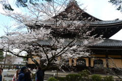 250403f南禅寺10