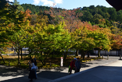 221029f南禅寺31