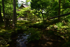 190626a大原三千院35
