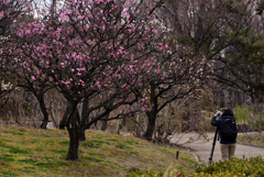 190221長居植物園37
