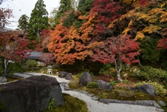 181130b南禅寺方丈25