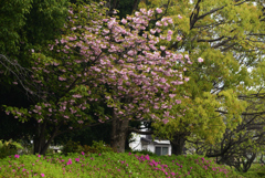 200426b正道官衙14