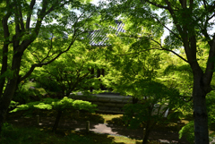 230428智積院29