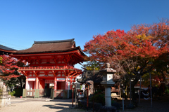 231123c長等神社32