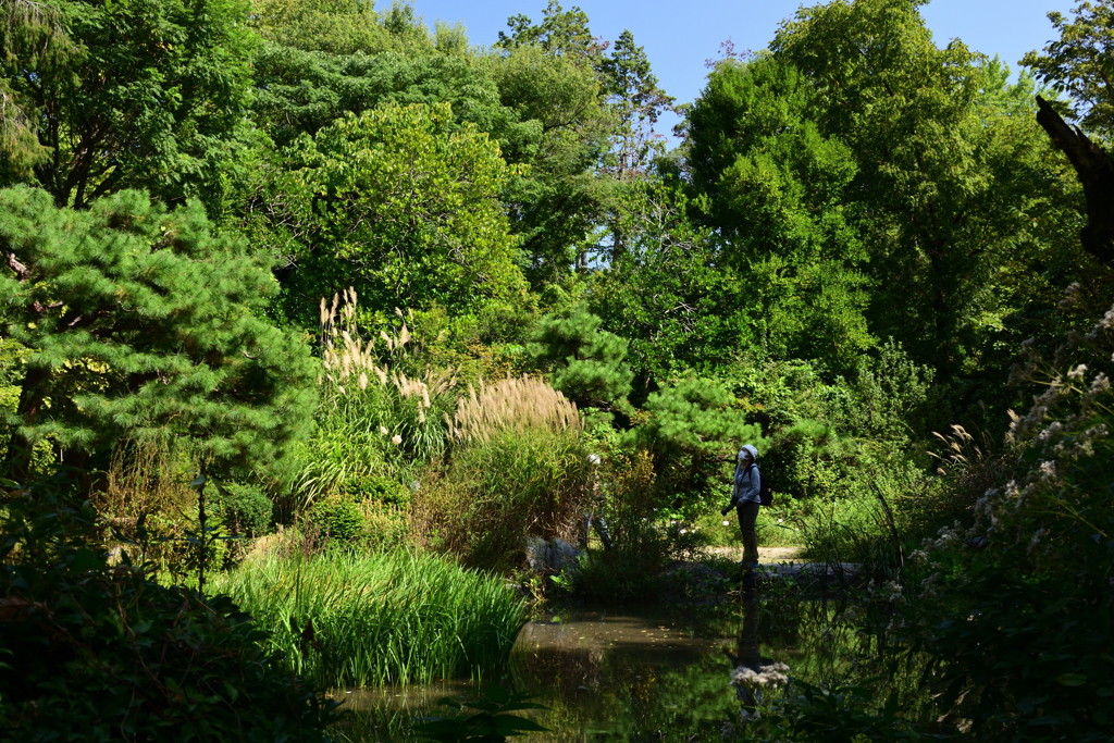 211002京都植物園19