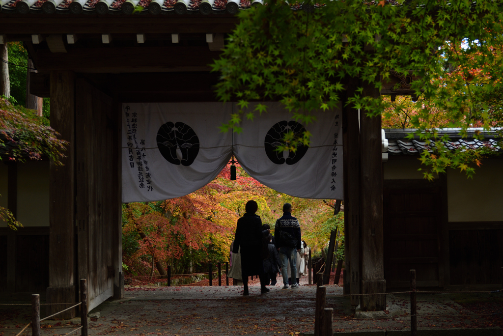 201129a光明寺38