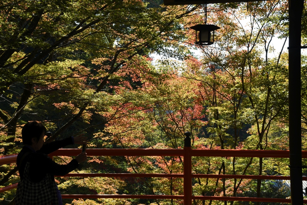 171103c今熊野観音41