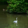 250601京都植物園32