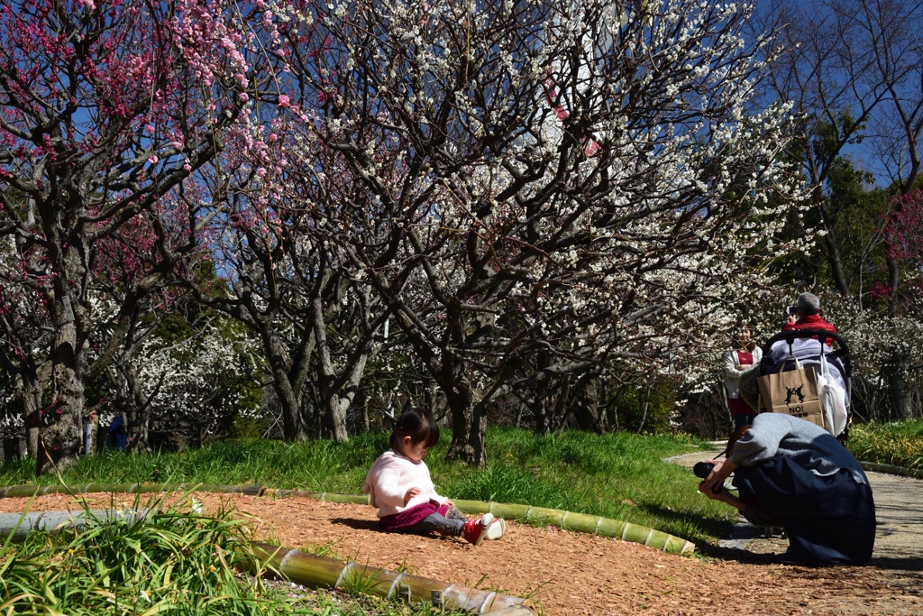 180310万博公園67+