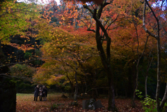 241129c佛通寺36