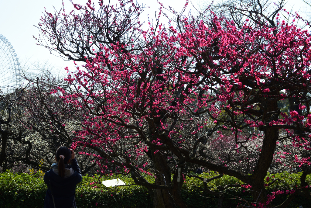 190302a万博公園12