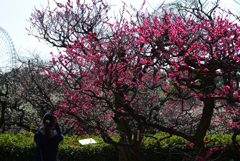 190302a万博公園12