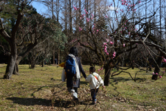 210211c京都植物園14