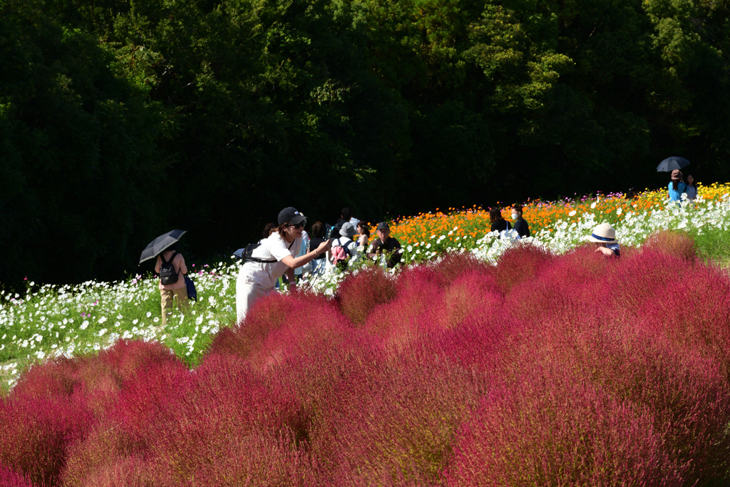 231012万博公園62