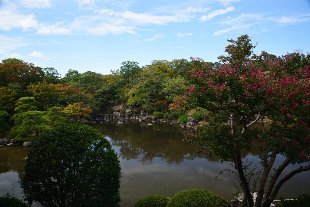 190920万博公園38