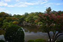 190920万博公園38