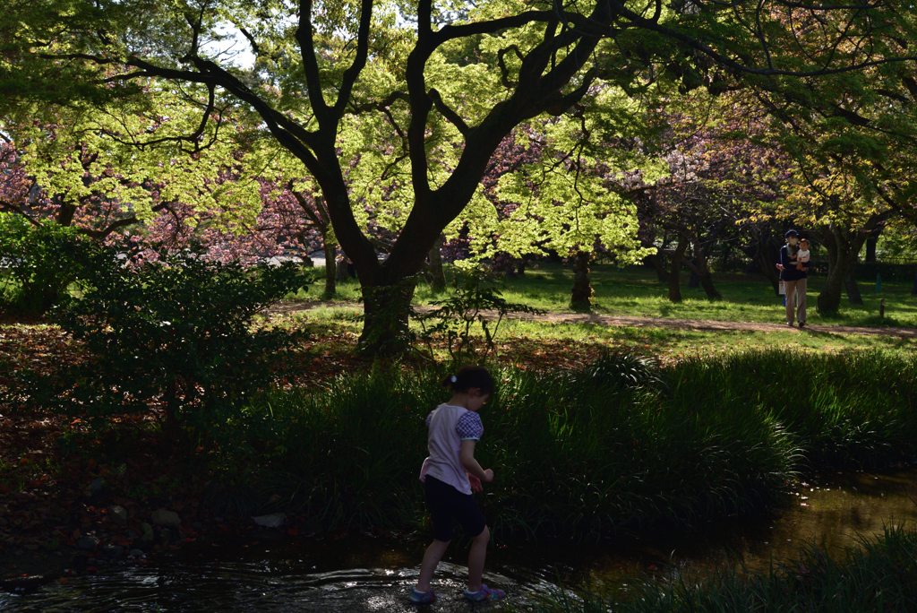 210407e京都御苑35