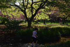 210407e京都御苑35