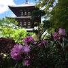 190427b當麻寺西南院29