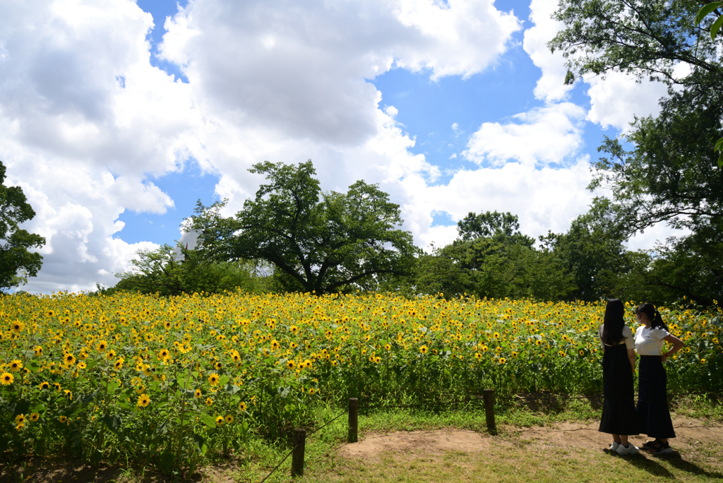 220729万博公園32