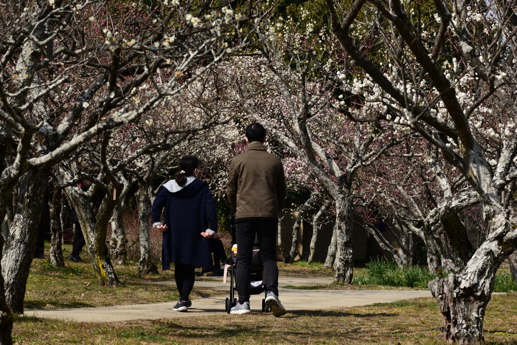 220305a山田池公園08