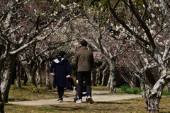 220305a山田池公園08