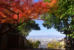 241210a白毫寺07