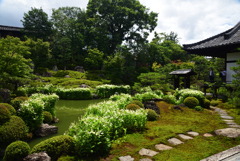 190707a建仁寺14両足院