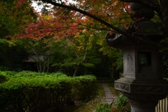 181118e泉涌寺来迎院79