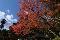 211103高野山13