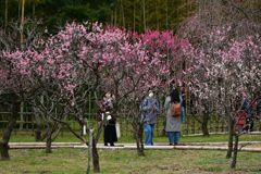 230226万博公園22