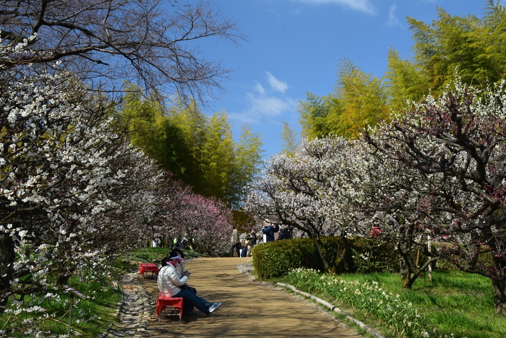 180310万博公園16