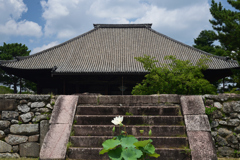210729d西大寺50