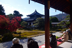 241206a鹿王院35