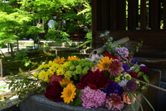 220522b勝林寺09