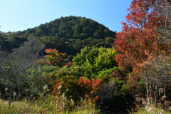 251115c長神の杜19