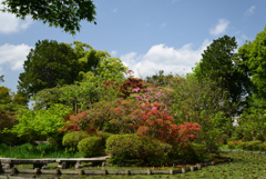 220422梅宮大社16