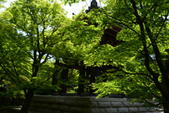 230428智積院04