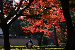 241203b相国寺06