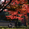 241203b相国寺06