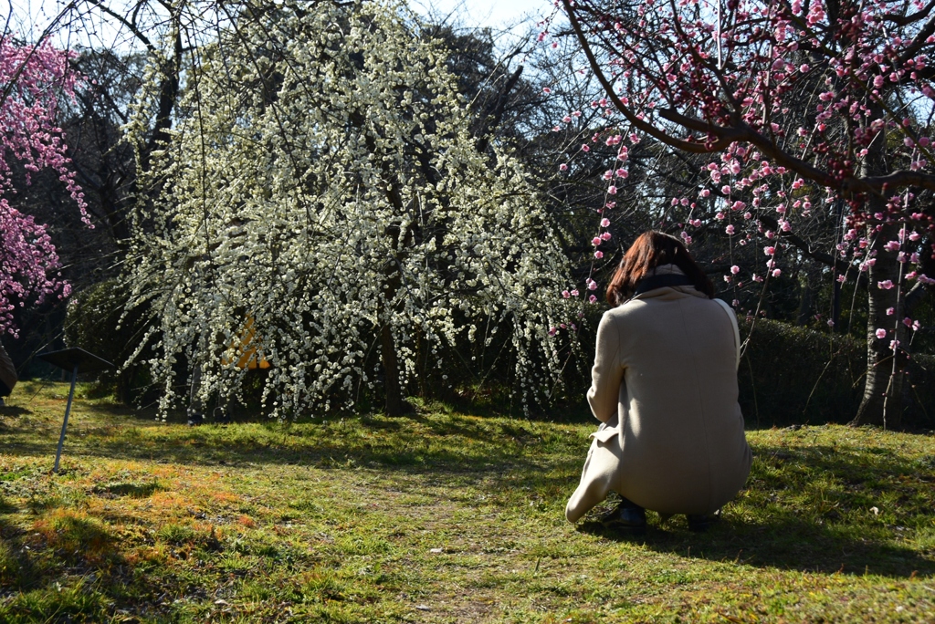180302長居植物園20