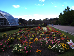 251028府立植物園